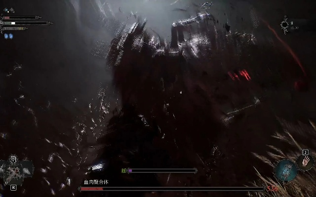 《堕落之主》血肉聚合体攻略：高效打法揭秘