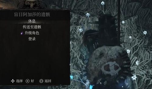 《堕落之主》前期快速刷魂经验攻略