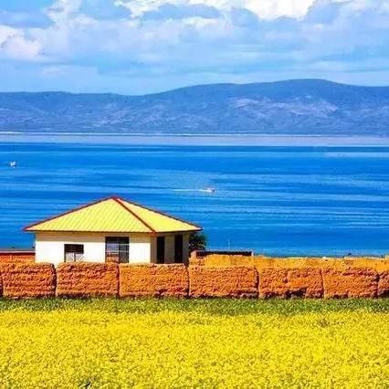 城市天际线2气候灾难解析：如何应对？