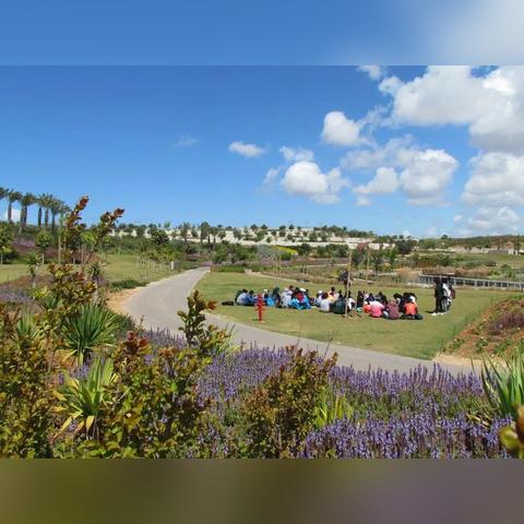 城市天际线2气候灾难解析：如何应对？