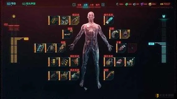 赛博朋克2077 2.0技能加点攻略,快速提升战斗力 赛博朋克2077 2.0技能加点攻略,快速提升战斗力