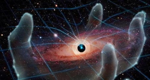 《星空》海洋生物扫描技巧，揭秘高效捕捉方法