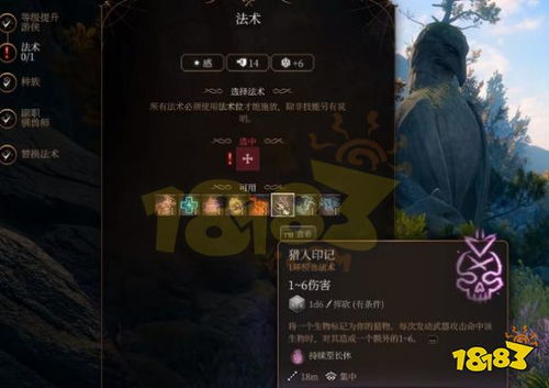 博德之门3万金油诗帕BD，如何选？快速攻略！