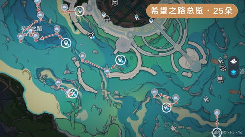 原神海露花速采攻略，告别迷路烦恼