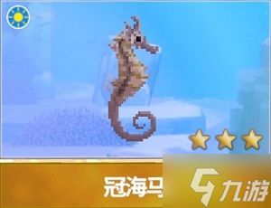 潜水员戴夫养鱼秘诀：破解水质难题，鱼儿健康成长