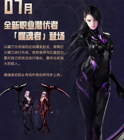 命运方舟卢特兰：揭秘骑士之国神秘面纱