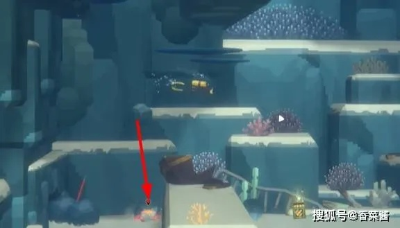 潜水员戴夫捕获条纹四鳍鱼,揭秘神秘捕捉地 潜水员戴夫捕获条纹四鳍鱼,揭秘神秘捕捉地