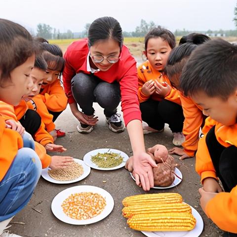 《田园记》评测7.0：乡村游，为何值得一试？