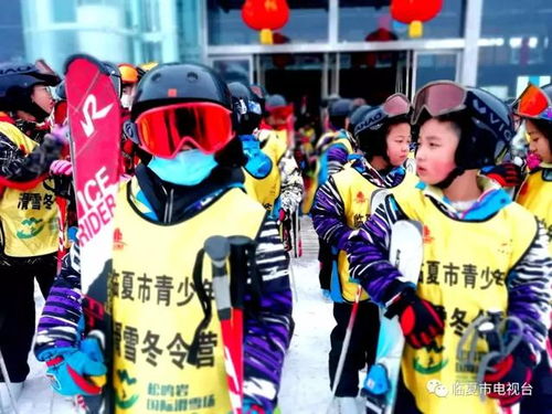 酷极轮滑评测7.7分：枪火中滑行，如何安全？