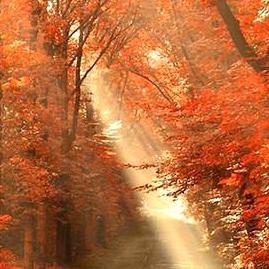 《烟火》评测9.5分：刻骨故事，疗愈心灵？