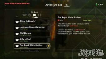 《塞尔达》冻肉复制法，快速批量制作攻略