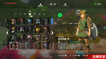 《塞尔达传说》套装效果升级攻略 《塞尔达传说》套装效果升级攻略