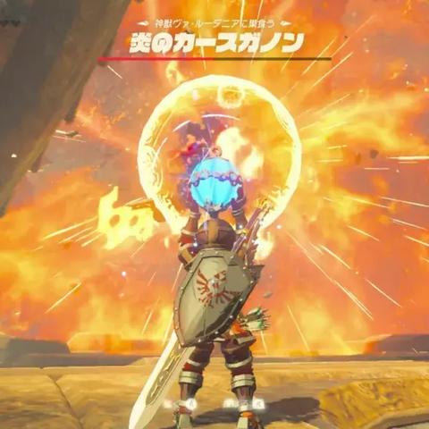 《塞尔达传说》炸弹花/大剑香蕉刷取攻略地点