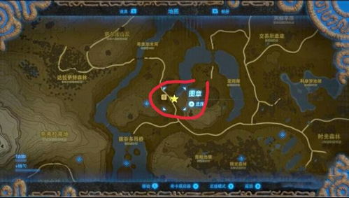 揭秘塞尔达传说王国之泪王族白马，高效捕获与隐藏价值解析