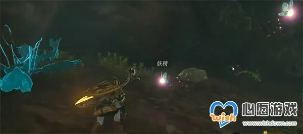 塞尔达泪之精灵捕获攻略,快速找到小精灵 塞尔达泪之精灵捕获攻略,快速找到小精灵