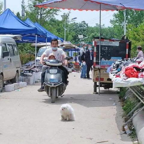 虚空列车萤火虫全息投影解谜攻略速成