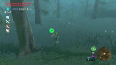 塞尔达克洛格面具获取攻略 塞尔达克洛格面具获取攻略