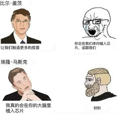 土豆成顶流？25年实验打造游戏圈传奇梗图