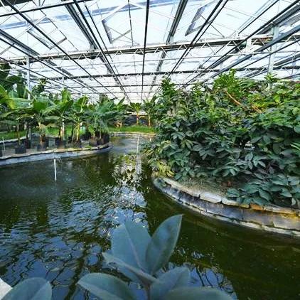 花海甘露套装：适合谁？解决搭配难题