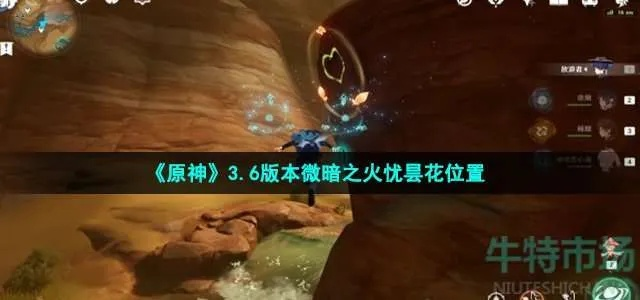 原神3.6忧昙花蕊采集攻略，快速完成微暗之火任务