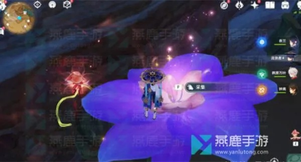 原神3.6忧昙花攻略：花蕊获取方法