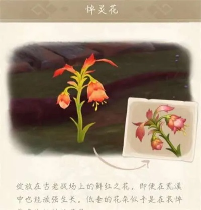 原神3.6悼灵花速采攻略