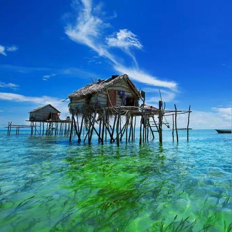 《森林之子》潜水服怎么快速获取？