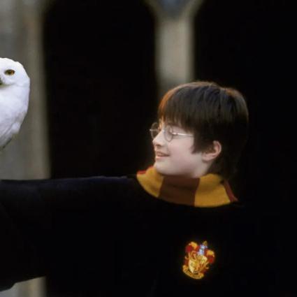 霍格沃茨天赋选对了吗？快速提升攻略