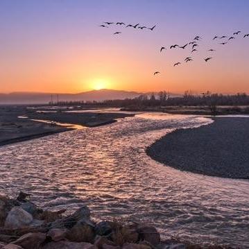 油菜花沙漠路线攻略，轻松走法大揭秘