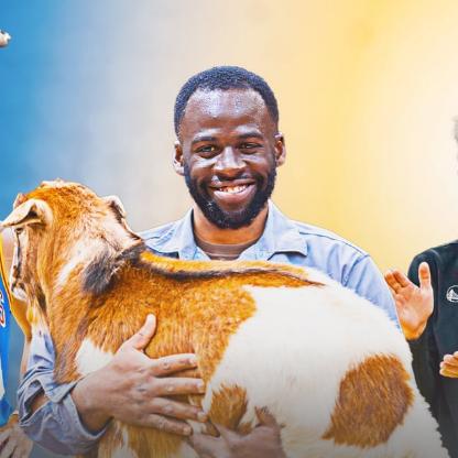 《模拟山羊3》史蒂夫营救攻略，快速解救方法！