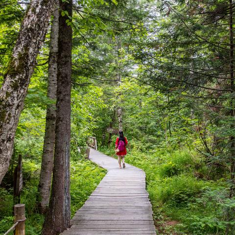 东北之夏攻略：全流程揭秘，夏日避暑胜地！