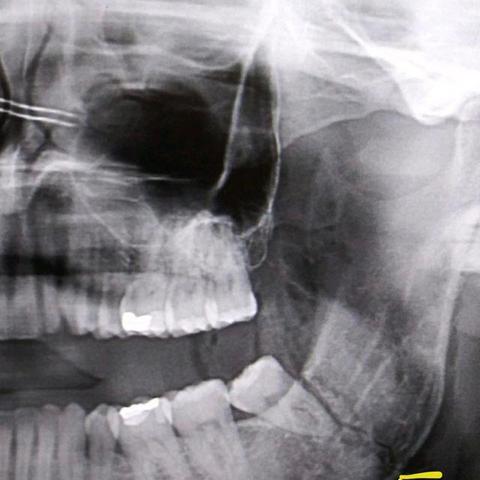 黑羊真结局揭秘攻略全解析