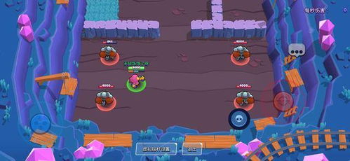 《背包乱斗》游侠菠萝刺猬暴击流玩法揭秘！