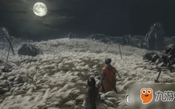 《只狼》水生之凛音痴攻略，剧情揭秘！