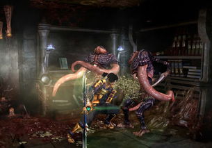 《鬼武者》四圣兽宝箱密码+解锁攻略揭秘 《鬼武者》四圣兽宝箱密码+解锁攻略揭秘