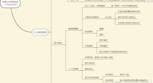 《初体计划2》全流程攻略，快速通关秘诀！