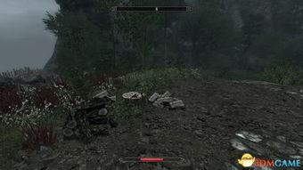 《上古卷轴5》Enderal安装攻略，汉化补丁安装方法揭秘