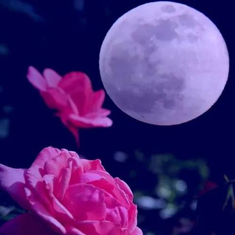 夜幕降临攻略：剧情难点图文解析全攻略