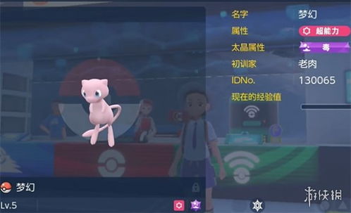 《宝可梦朱紫》双打煤炭龟空间喷火队攻略分享