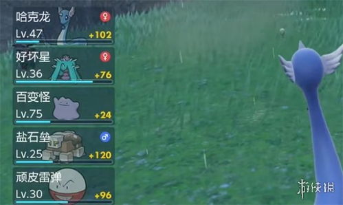 《宝可梦朱紫》拍卖行道具刷新攻略