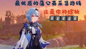 《原神》帕蒂沙兰高效采集攻略