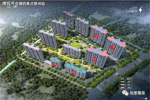 动物园之星最低售价查询