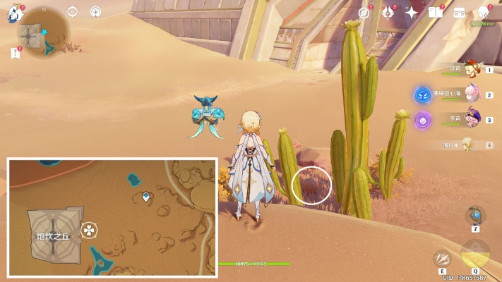 3.1 金蔷薇种子获取地点