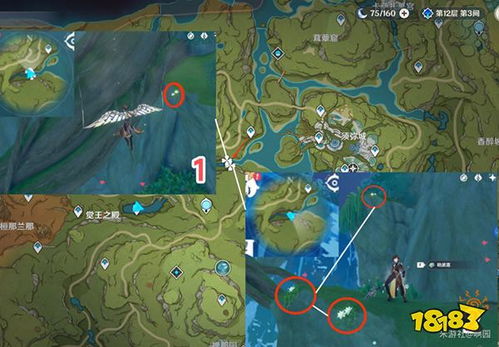 原神劫波莲刷新点位置攻略 劫波莲获取方法