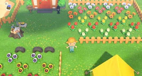 《动物森友会》时间调整技巧与要点 《动物森友会》时间调整技巧与要点