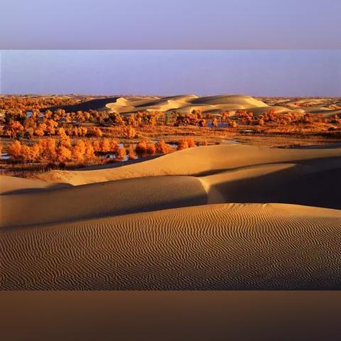 《绝地求生》沙漠地图画面调整指南：如何缓解刺眼光线