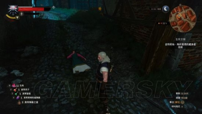 巫师3主线选项支线汇总结局解析