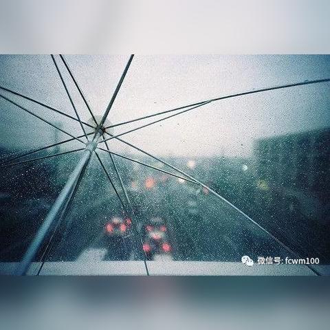 《Left 4 Dead》生存之旅攻略（二）