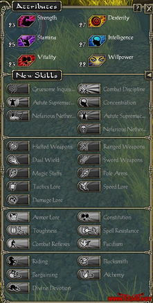 圣域2堕落天使审判者技能Inquisitor 圣域2堕落天使审判者技能Inquisitor