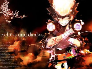 《家庭教师杀手Reborn! 战斗竞技场》全角色解析